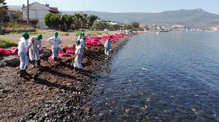 Foça'yı cehenneme çeviren firmanın cezası belli oldu