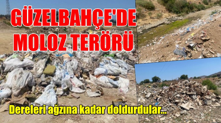 GÜZELBAHÇE'DE MOLOZ TERÖRÜ!