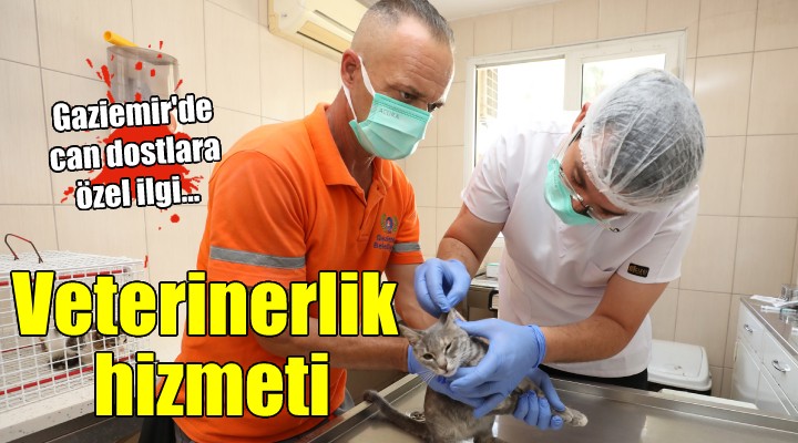 Gaziemir'de 5 bin 820 hayvana veteriner hizmeti