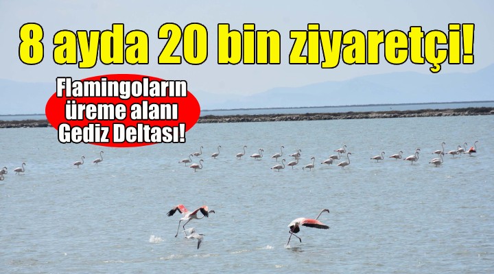 Gediz Deltası'na 8 ayda 20 bin ziyaretçi!