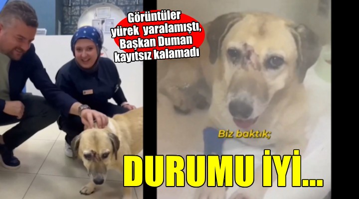 Görüntüler yürek yaralamıştı... Başkan Duman kayıtsız kalamadı!