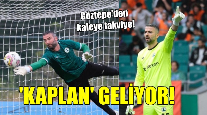 Göztepe kalesine 'Kaplan' geliyor...