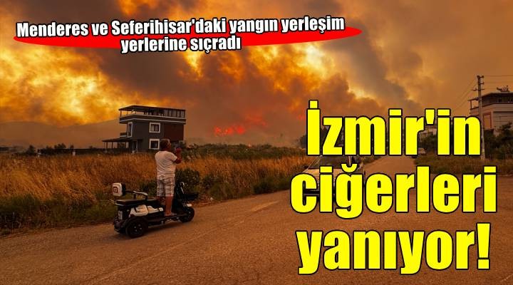 İzmir'in Menderes ve Seferihisar ilçelerinde orman yangını: Kuvvetli rüzgârdan yayıldı