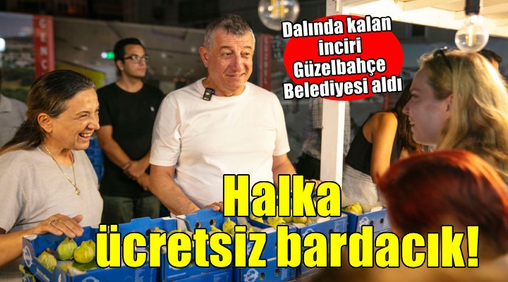 Güzelbahçe Belediyesi, dalında kalan bardacık incirini alıp halka dağıttı