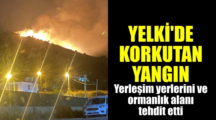 Güzelbahçe'de korkutan yangın!