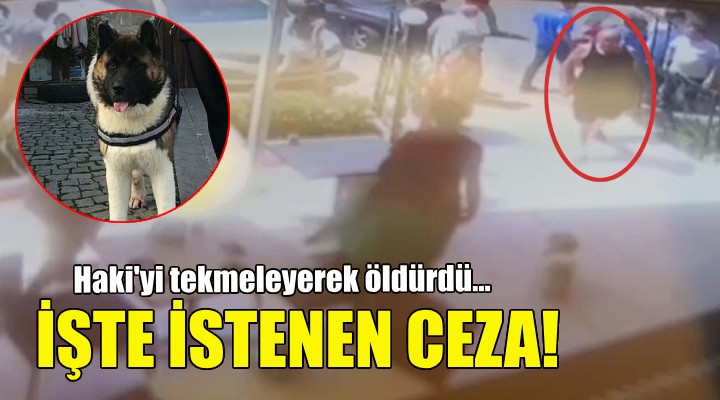 Haki'yi tekmeleyerek öldürdü... İşte istenen ceza!