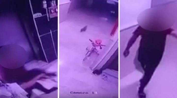 Hamile kediyi kameralara gösterip yere vurdu