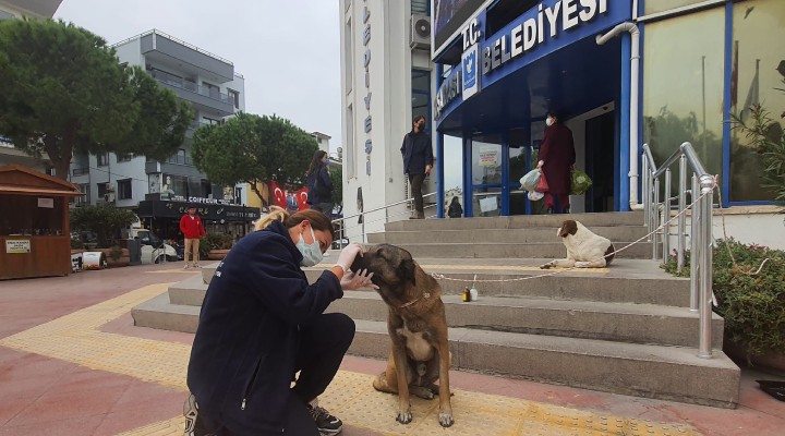 Hasta köpeğe şefkatli dokunuş!