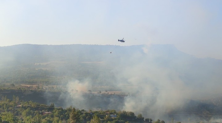 Hatay, Mersin ve Çanakkale'de orman yangını!