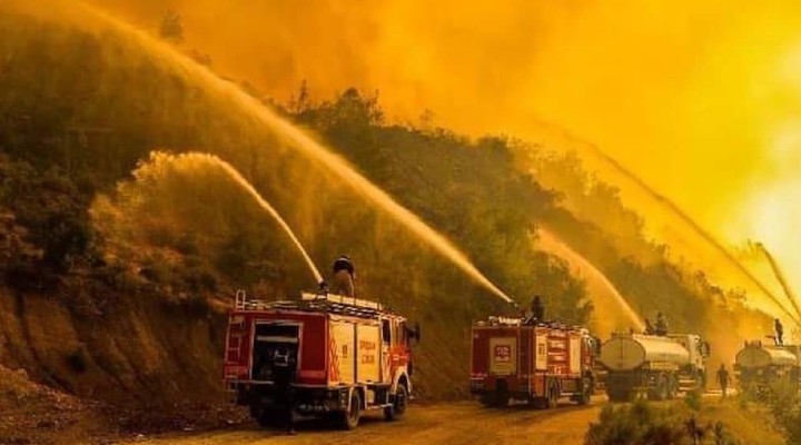 Hatay'da orman yangını!