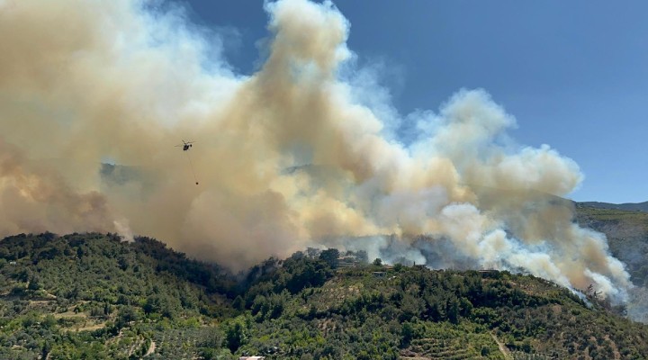 Hatay'da orman yangını... Yerleşim yerlerine ulaştı!