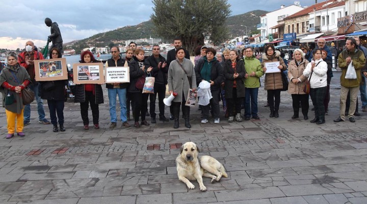 Hayvan vahşetine İzmir'den tepki