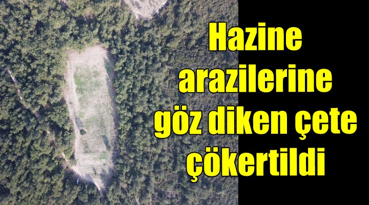 Hazine arazilerini satmaya çalışan şebeke çökertildi!