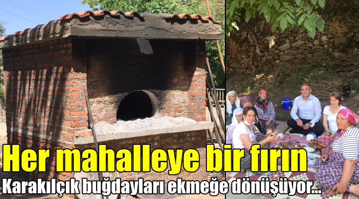 Her mahalleye bir fırın! Karakılçık ekmekleri sofraya