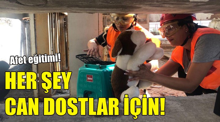 Her şey can dostlar için!