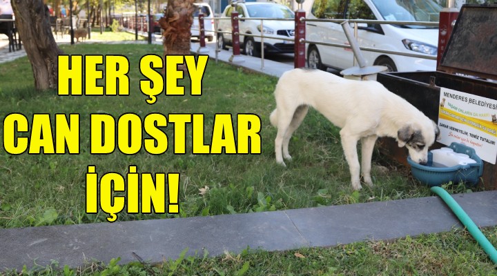 Her şey can dostlar için!