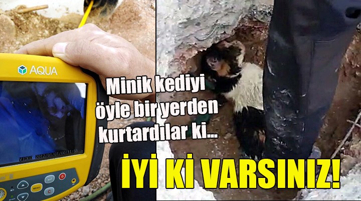 İYİ Kİ VARSINIZ! Minik kediyi öyle bir yerden kurtardılar ki...