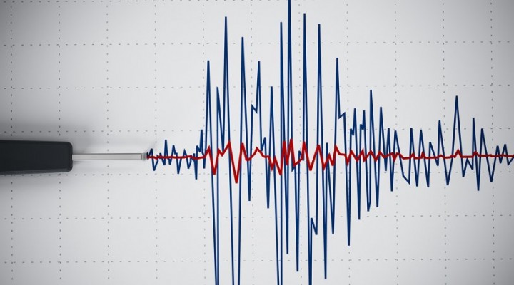 Manisa'da şiddetli deprem! İzmir de sallandı