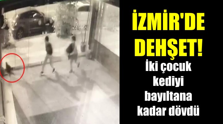 İki çocuk kediyi bayıltana kadar dövdü!