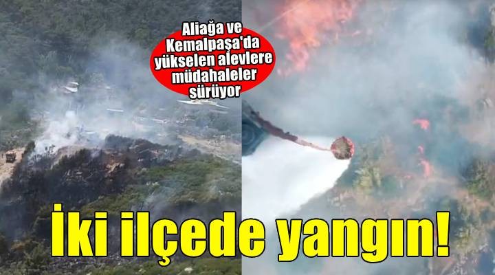 İzmir'in iki ilçesinde yangın