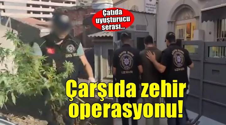 İş yeri çatısında kenevir yetiştiren 3 şüpheliye gözaltı