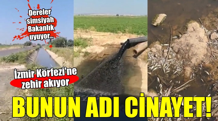 İşte İzmir Körfezi'ni bunlar mahvediyor!