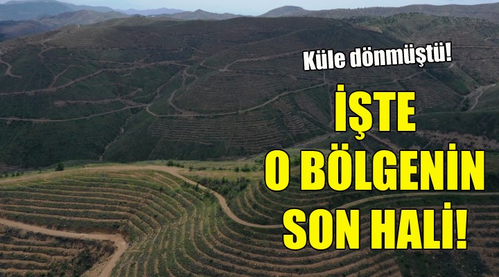 İşte İzmir'deki o bölgenin son hali!