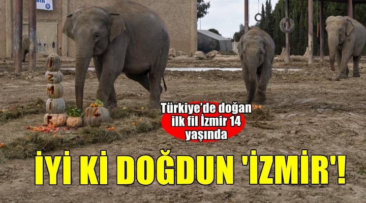 İyi ki doğdun 'İzmir'!