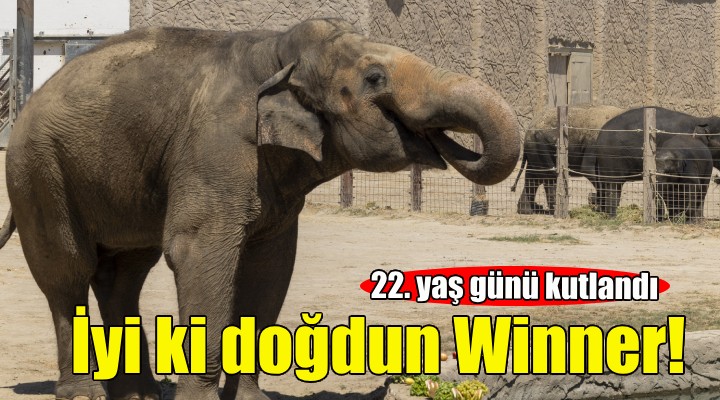 İyi ki doğdun Winner... 22. yaş günü kutlandı!