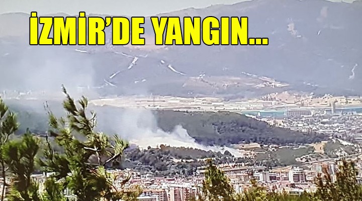 İzmir Buca'da yangın...