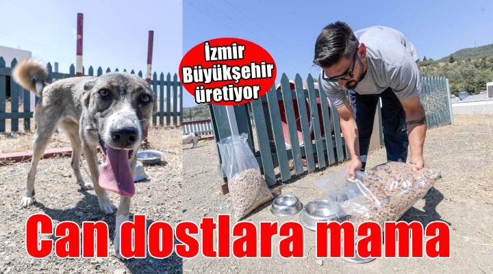 İzmir Büyükşehir can dostlar için mama üretiyor