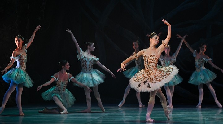 İzmir Devlet Opera ve Balesi 'Uyuyan Güzel' ile sahne alacak