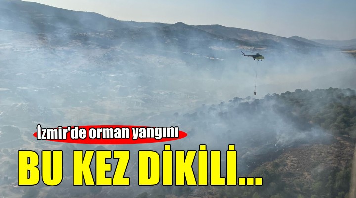 İzmir'de orman yangını...