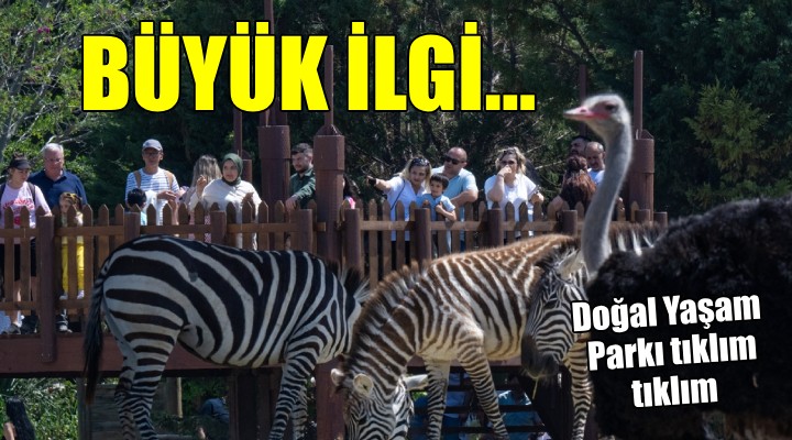 İzmir Doğal Yaşam Parkı'na büyük ilgi...