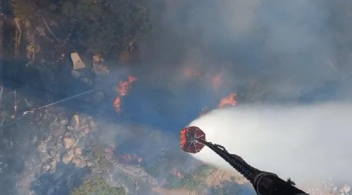 İzmir İtfaiyesi, Bergama yangınına müdahale ediyor