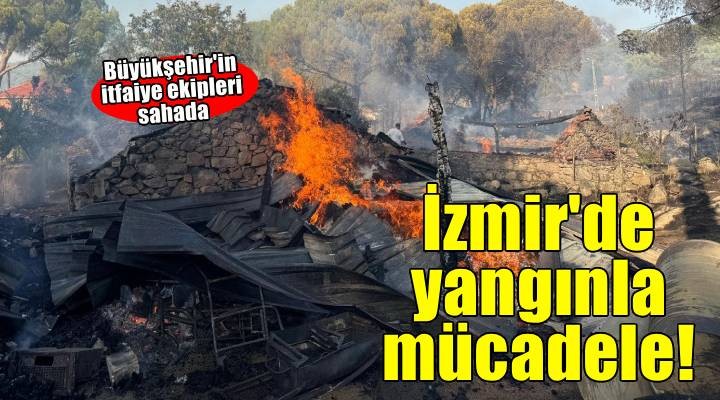 İzmir İtfaiyesi Bergama'da alevlerle mücadele ediyor