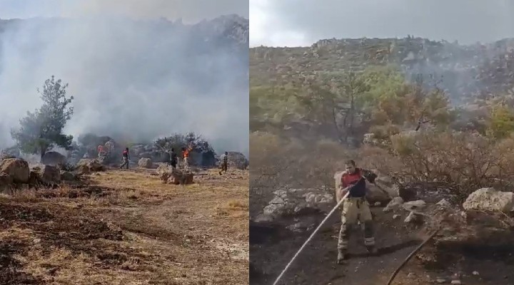 İzmir İtfaiyesi'nden 2 bölgedeki yangına hızlı müdahale!