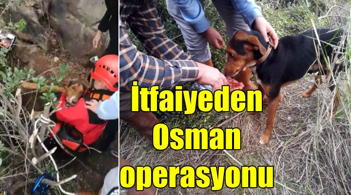 İzmir İtfaiyesi'nden Osman operasyonu!