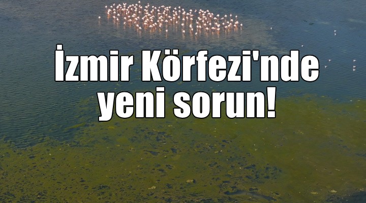 İzmir Körfezi'nde yeni sorun!