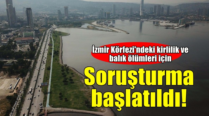 İzmir Körfezi'ndeki kirlilik ve balık ölümlerine soruşturma