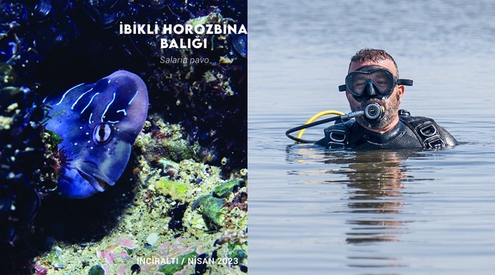 İzmir Körfezi'nde biyolojik çeşitlilik izleme çalışmaları başlıyor!