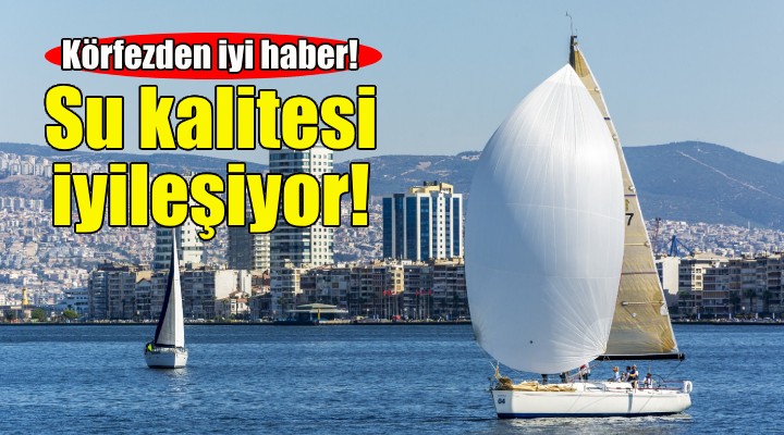 İzmir Körfezi'nde su kalitesi iyileşiyor!
