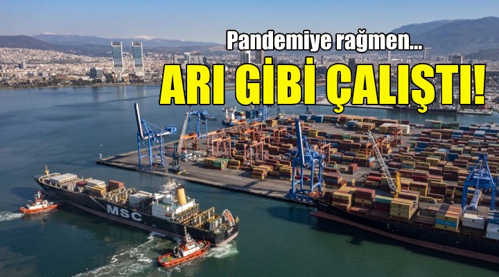 İzmir Limanı arı gibi çalıştı!