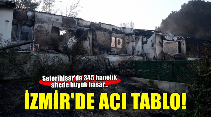 İzmir Seferihisar'daki orman yangınında 345 hanenin bulunduğu sitedeki evler zarar gördü