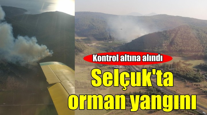 İzmir Selçuk'ta orman yangını...