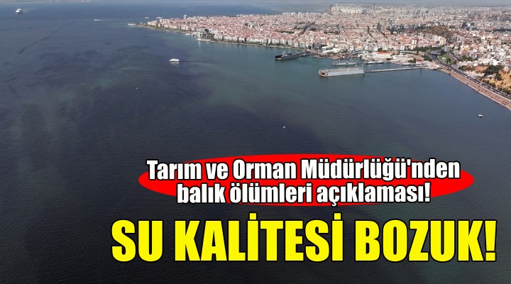 İzmir Tarım ve Orman Müdürlüğü'nden balık ölümleri açıklaması!