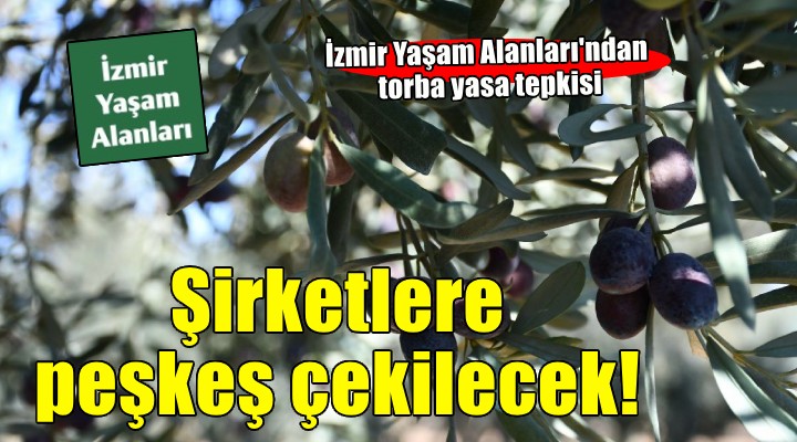 İzmir Yaşam Alanları'ndan zeytinlikleri madenciliğe açacak yasa tasarısına tepki!