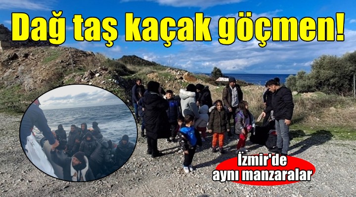 İzmir'de 107 kaçak göçmen yakalandı!