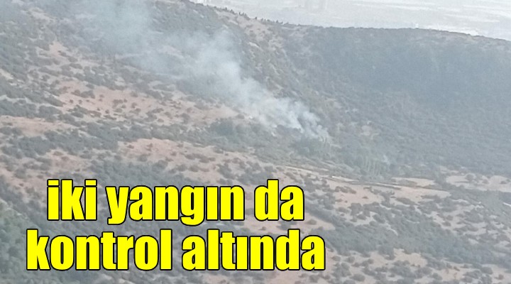 İzmir'de 2 farklı noktada çıkan orman yangını kontrol altına alındı