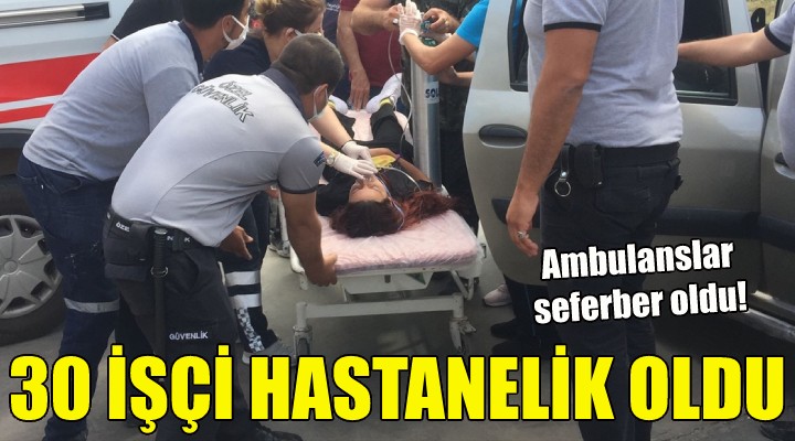 İzmir'de 30 işçi hastanelik oldu!